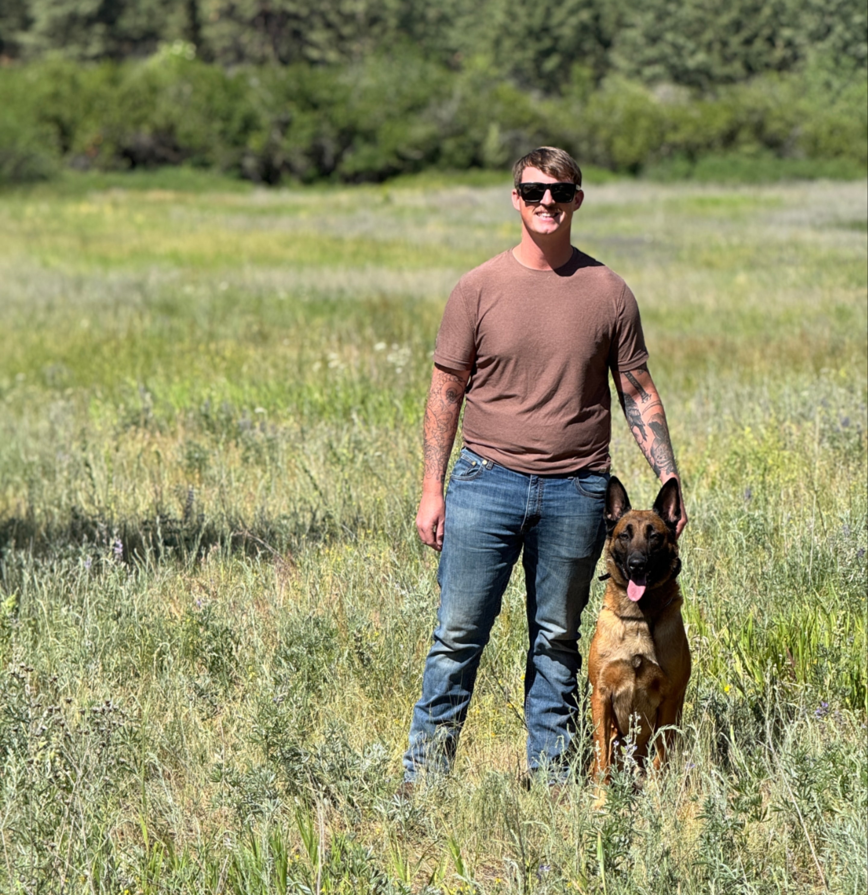 Professional dog trainer working with a dog